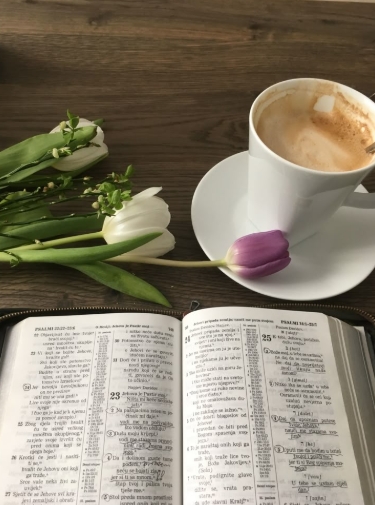 Year in the Bible Week 16 Day 1 (113): All&nbsp;In