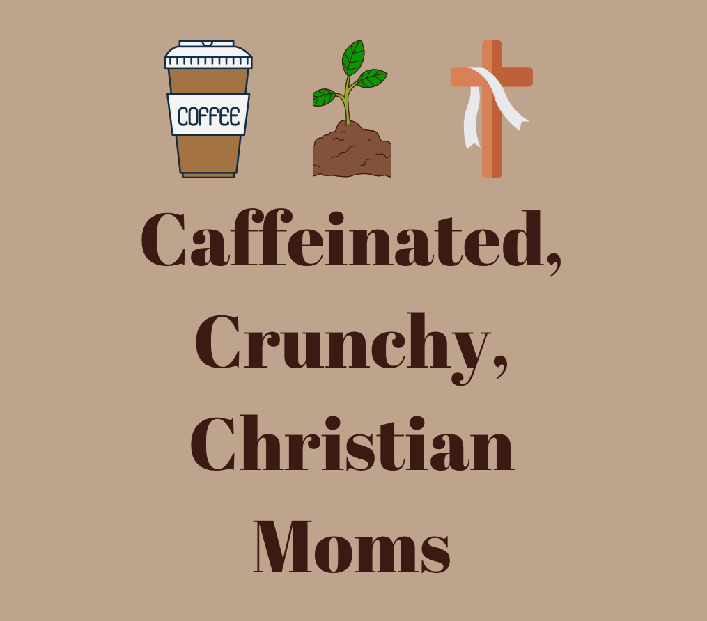 The Caffeinated Crunchy Christian Moms (Cx3) Approved Vendors ’25-’26