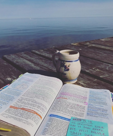 Year in the Bible Week 22 Day 1 (148): Walking in&nbsp;Wisdom